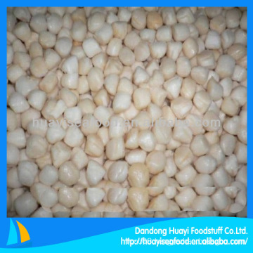 High competitive frozen fresh bay scallop on sale